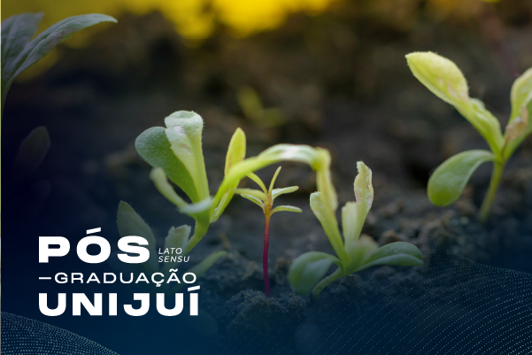 27-1790853316-plantas-de-lavoura-imagem-curso-png.png